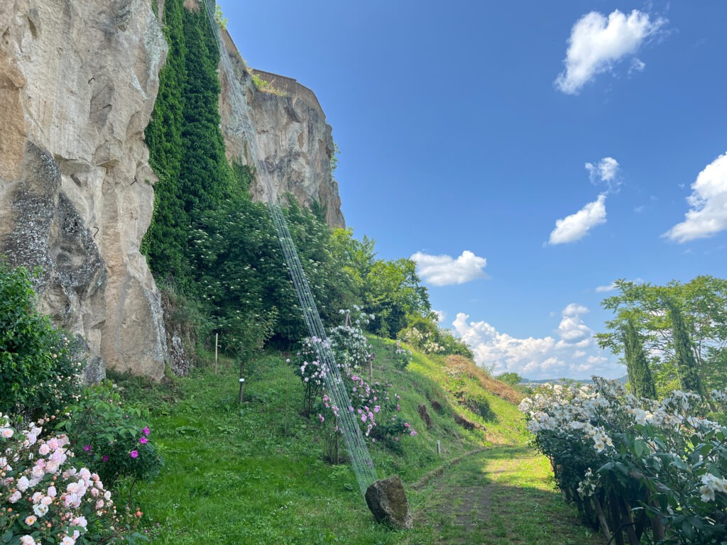 Rocca Ripesena 